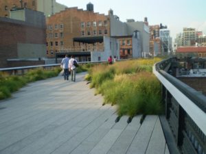High Line_Manhattan_Vìride_Andrea_di_Salvo_3