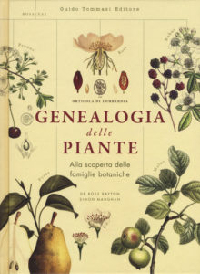Genealogia delle piante_Tommasi ed_Vìride_andrea_di_Salvo