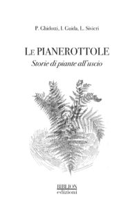 Le pianerottole_Biblion_Andrea Di Salvo_Vìride_Il Manifesto.jpg